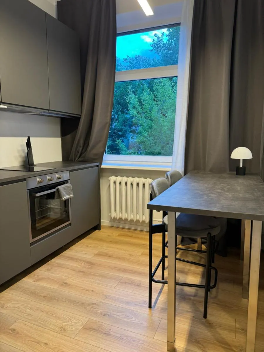 Image 1 of Apartments Svitrigailos 7