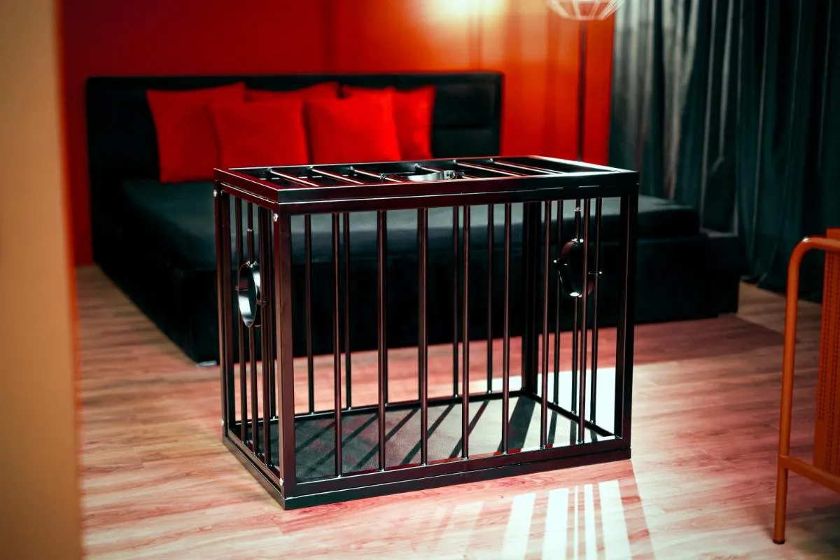 Image 2 of BDSM Red Apartments