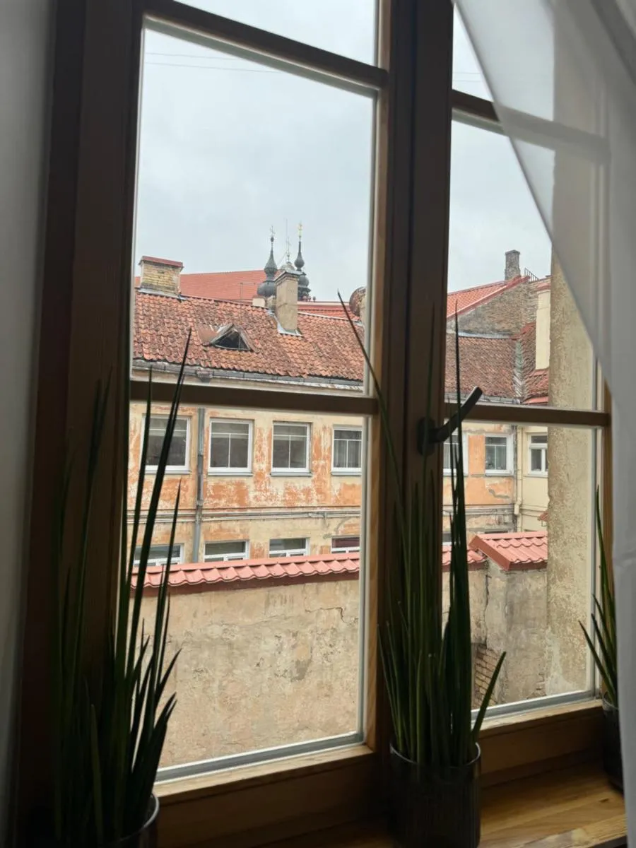 Image 4 of Church through the window