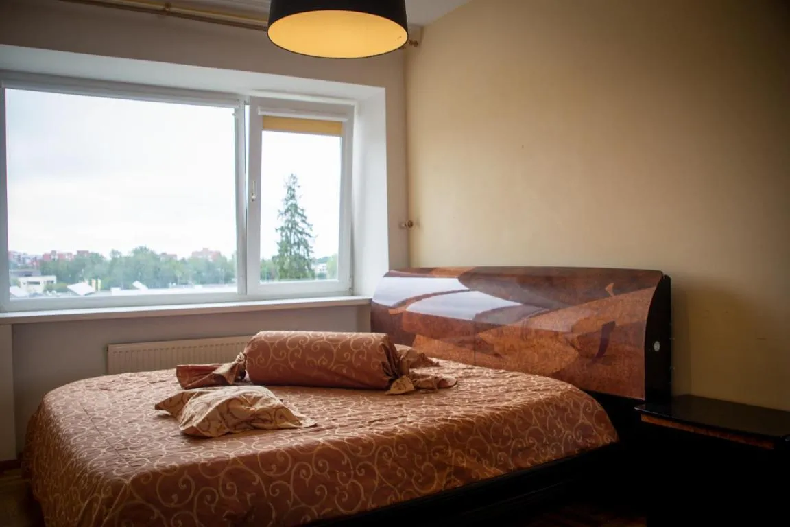 Image of Cosy appartament near Mykolas Romeris University