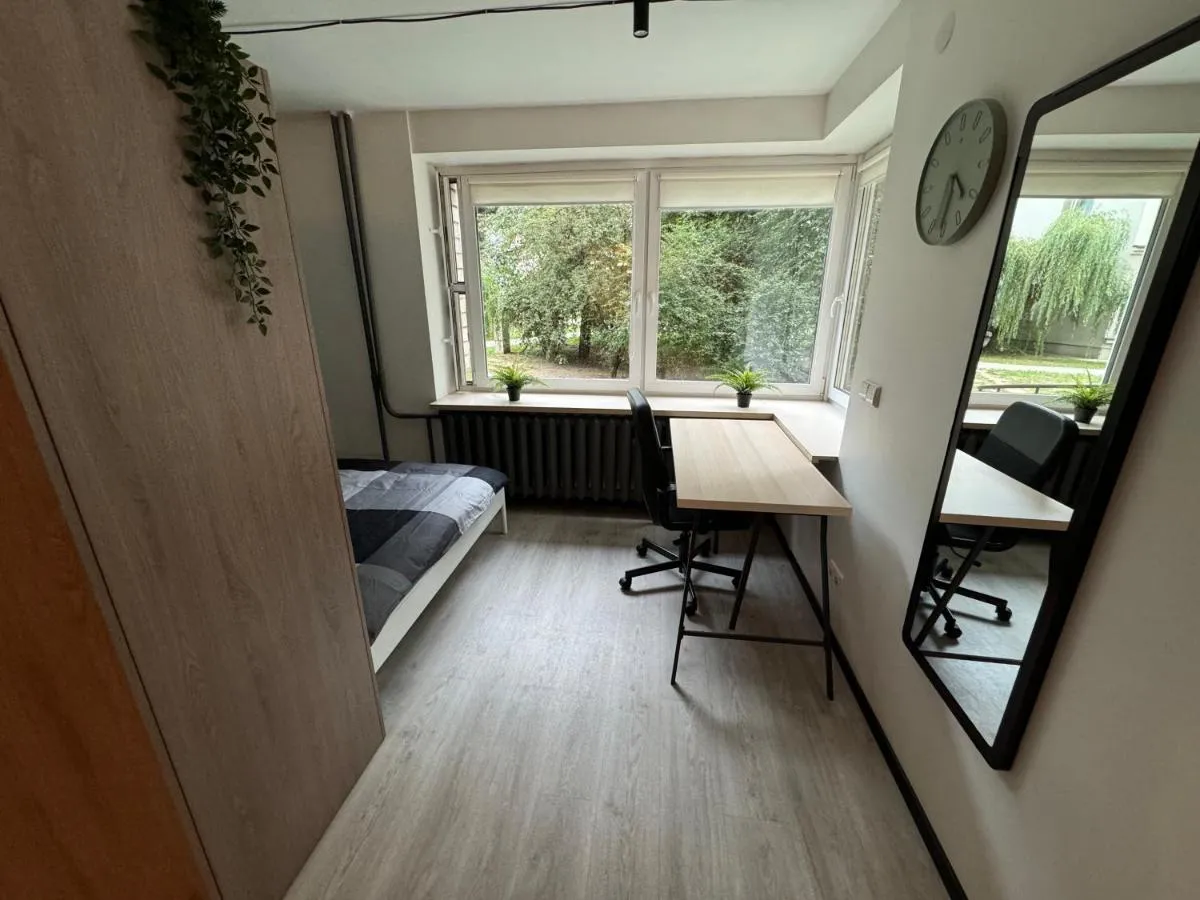 Image 1 of Cozy apartment in City center