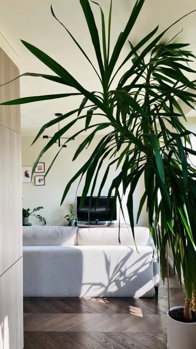 Image 6 of Floral Sunshine Apartment