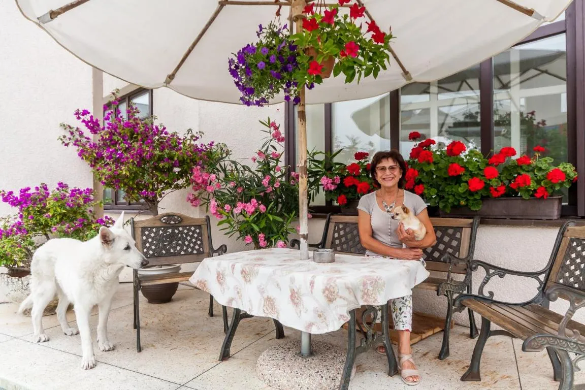 Image of Guesthouse Marija