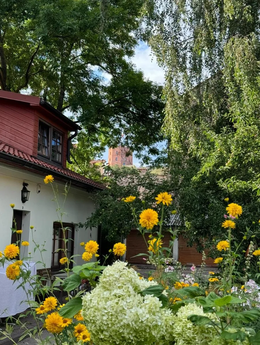 Image 3 of Heart of Vilnius with little spa