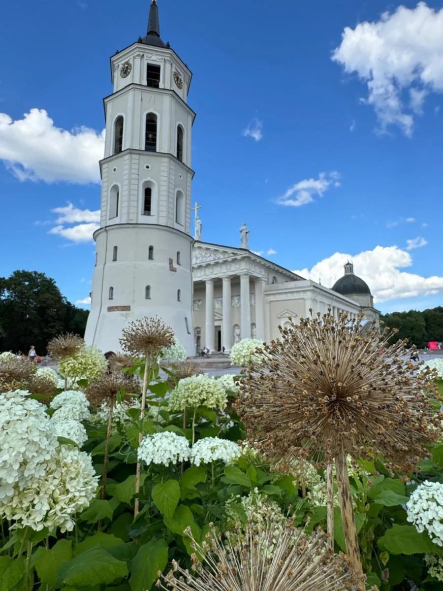 Image 2 of Heart of Vilnius with little spa