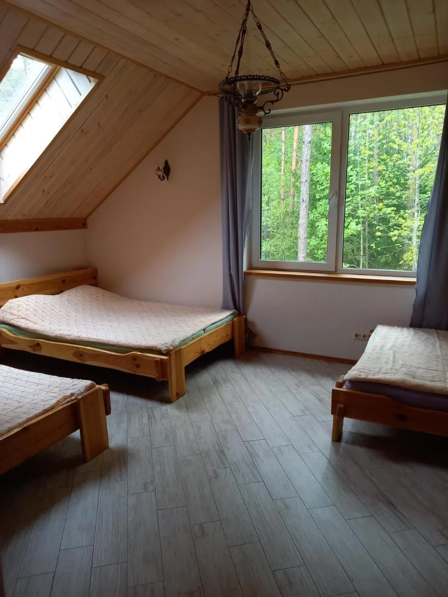 Image 3 of Lesnoy holiday home