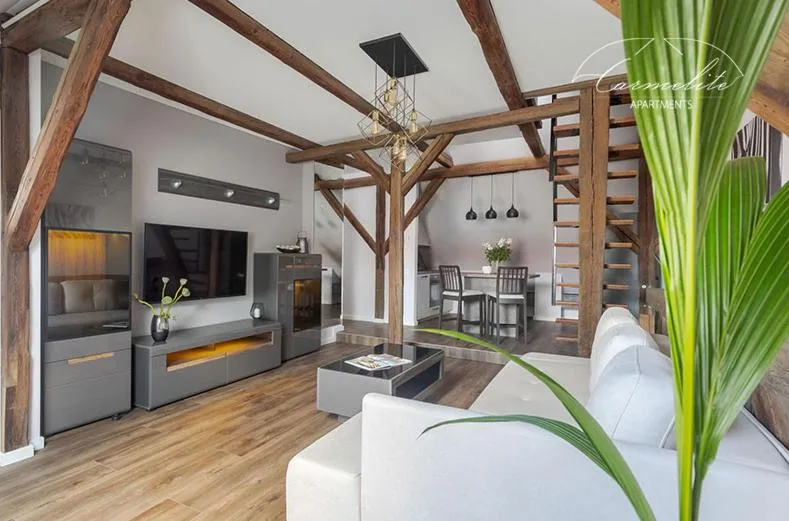 Image of Spacious sky Carmelite apartment