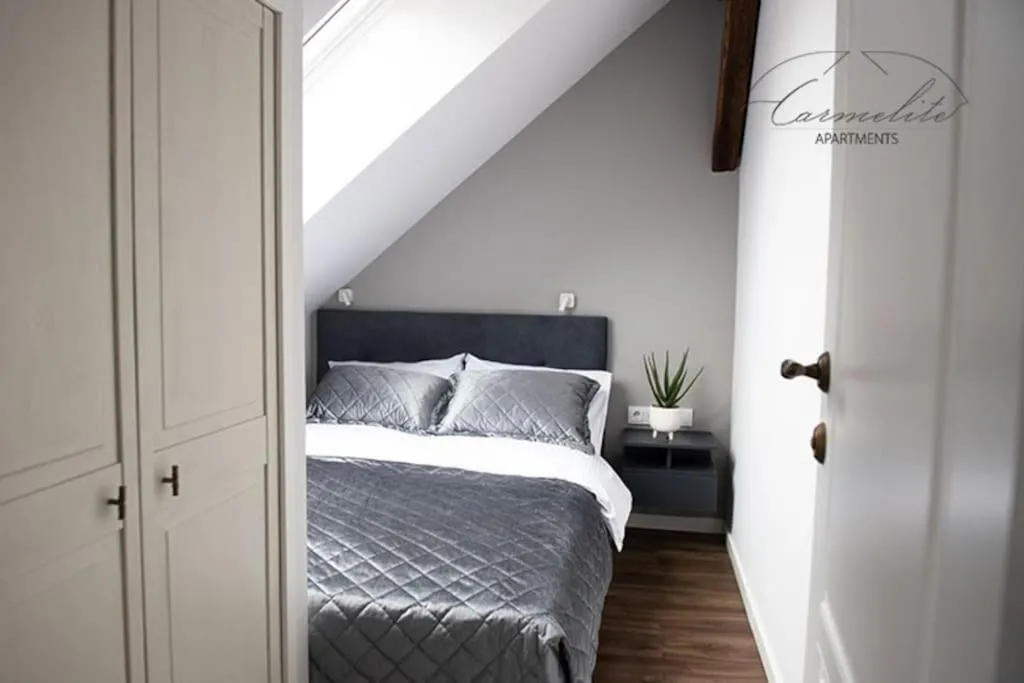 Image 1 of Spacious sky Carmelite apartment