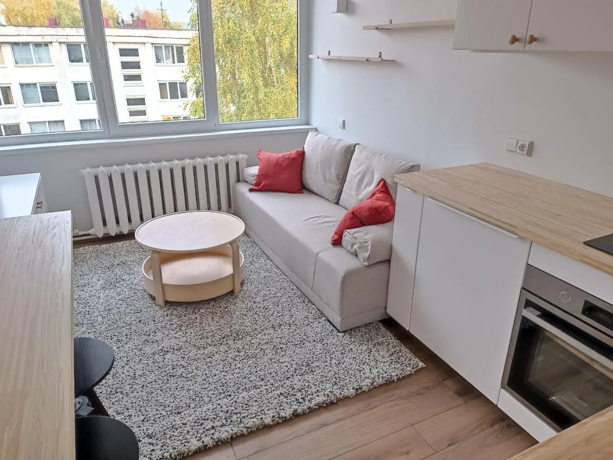 Image 1 of Stylish Studio in Central Vilnius