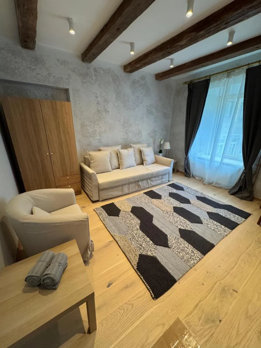 Image 2 of BONUM apartments in Vilnius old town