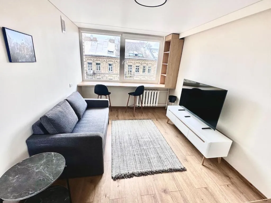 Image of Brand new studio in the center