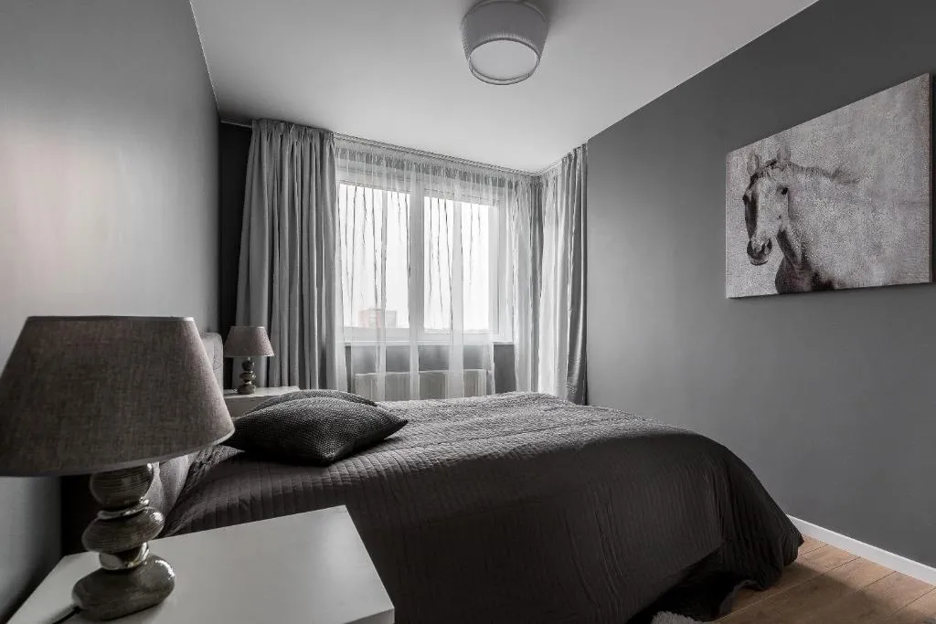 Image of City center apartment, free parking, 149