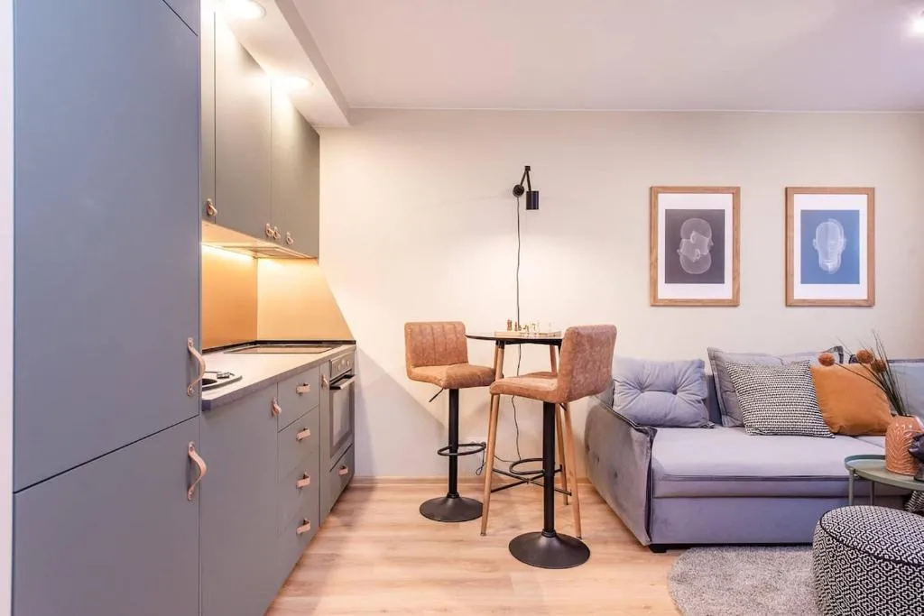 Image of Cozy flat in Antakalnis