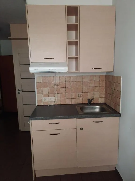 Image of Cozy place in Žirmūnai 2