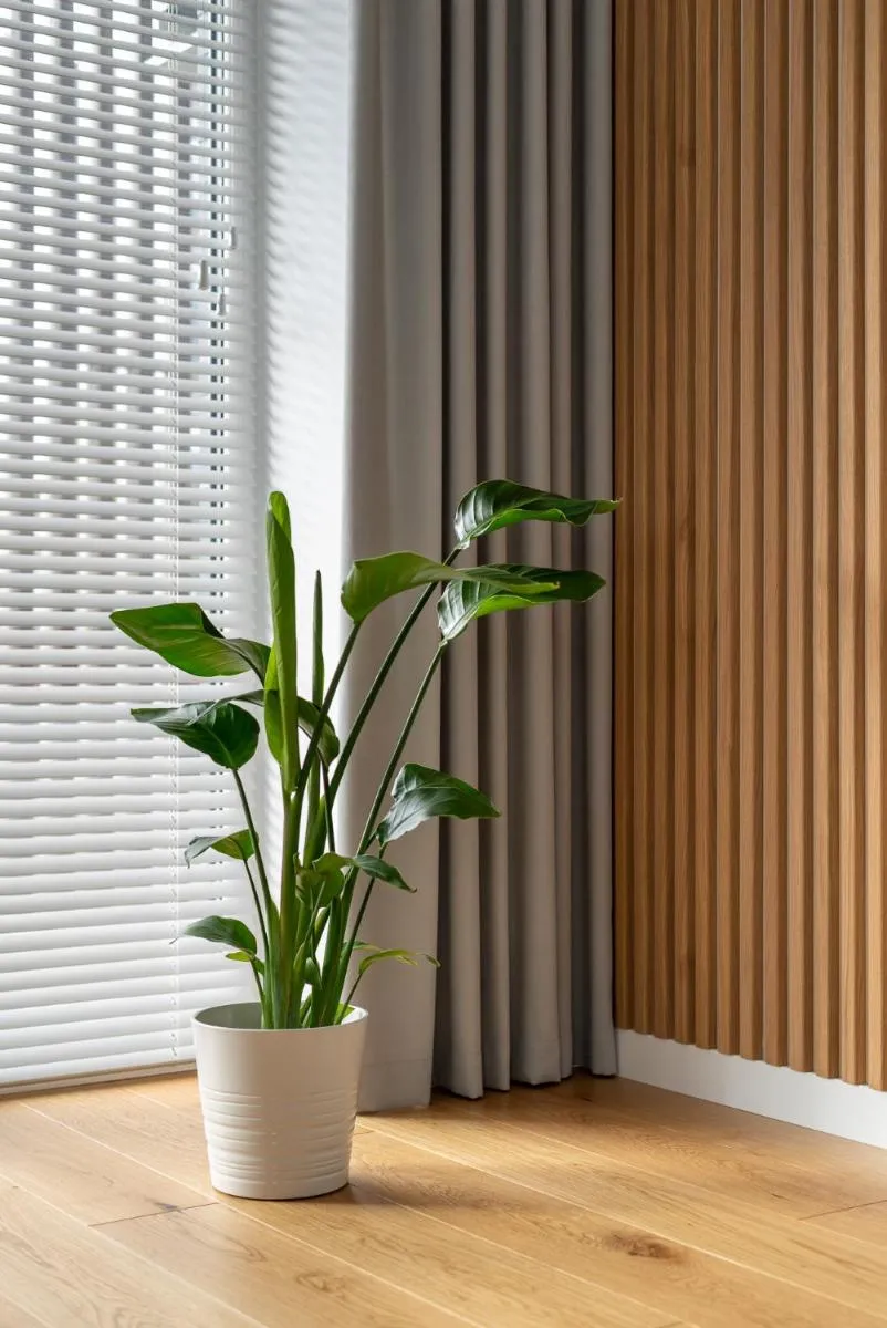Image 5 of D33 Vilnius – Brand New Luxury Apartment with Terrace, Garden, AC and Parking