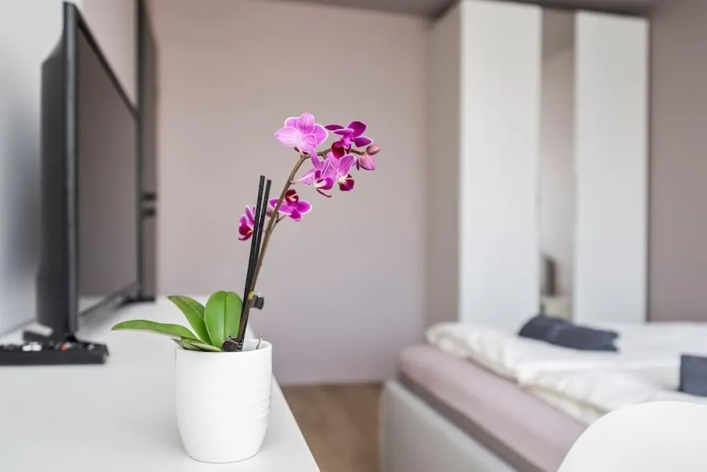 Image 1 of GoldenHugo Apartment