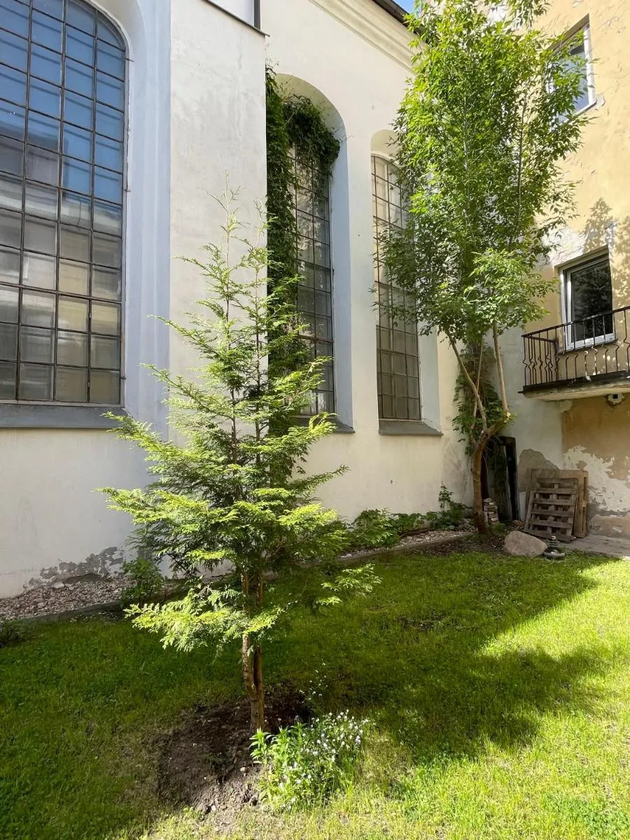 Image 4 of Mikalo House