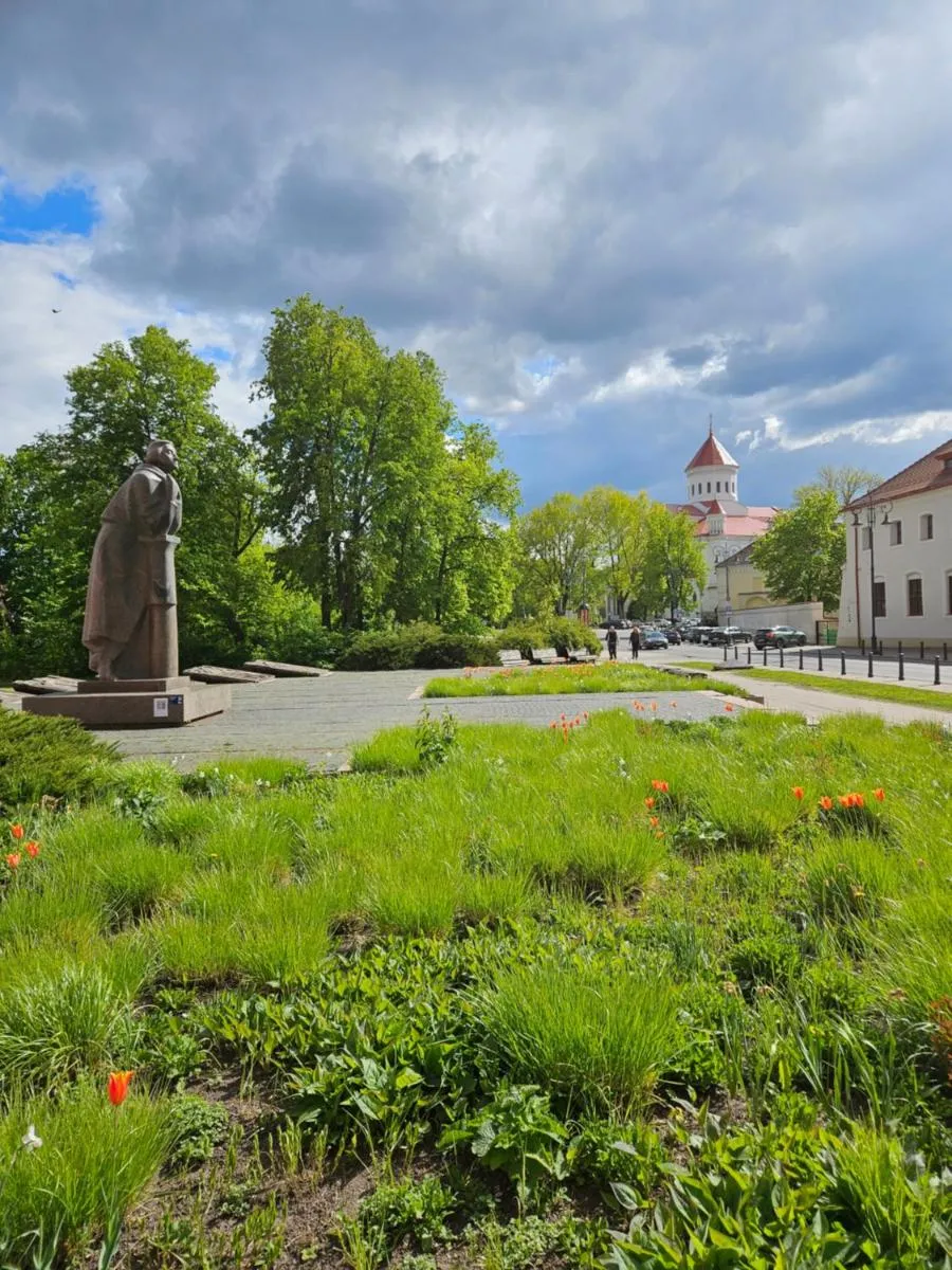 Image 5 of Mykoliukas