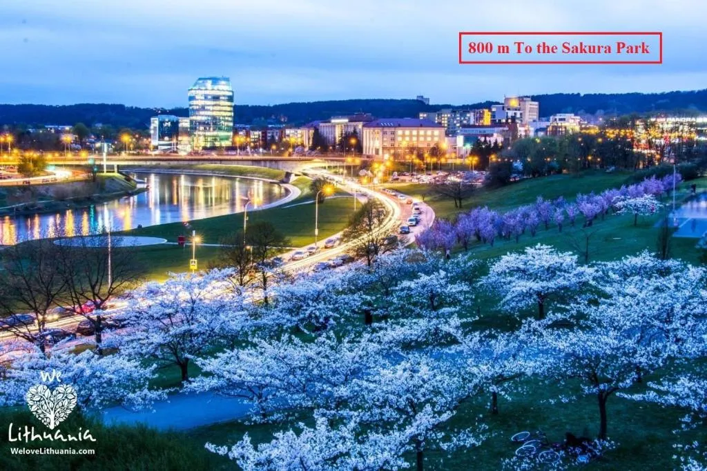 Image of Nordic Studio 140 In Prime Vilnius Location