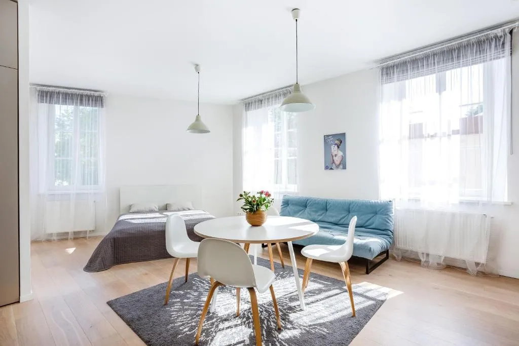 Image of Spacious Cozy Studio, 3A