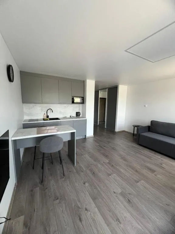 Image of Spacious, cozy place in Vilnius