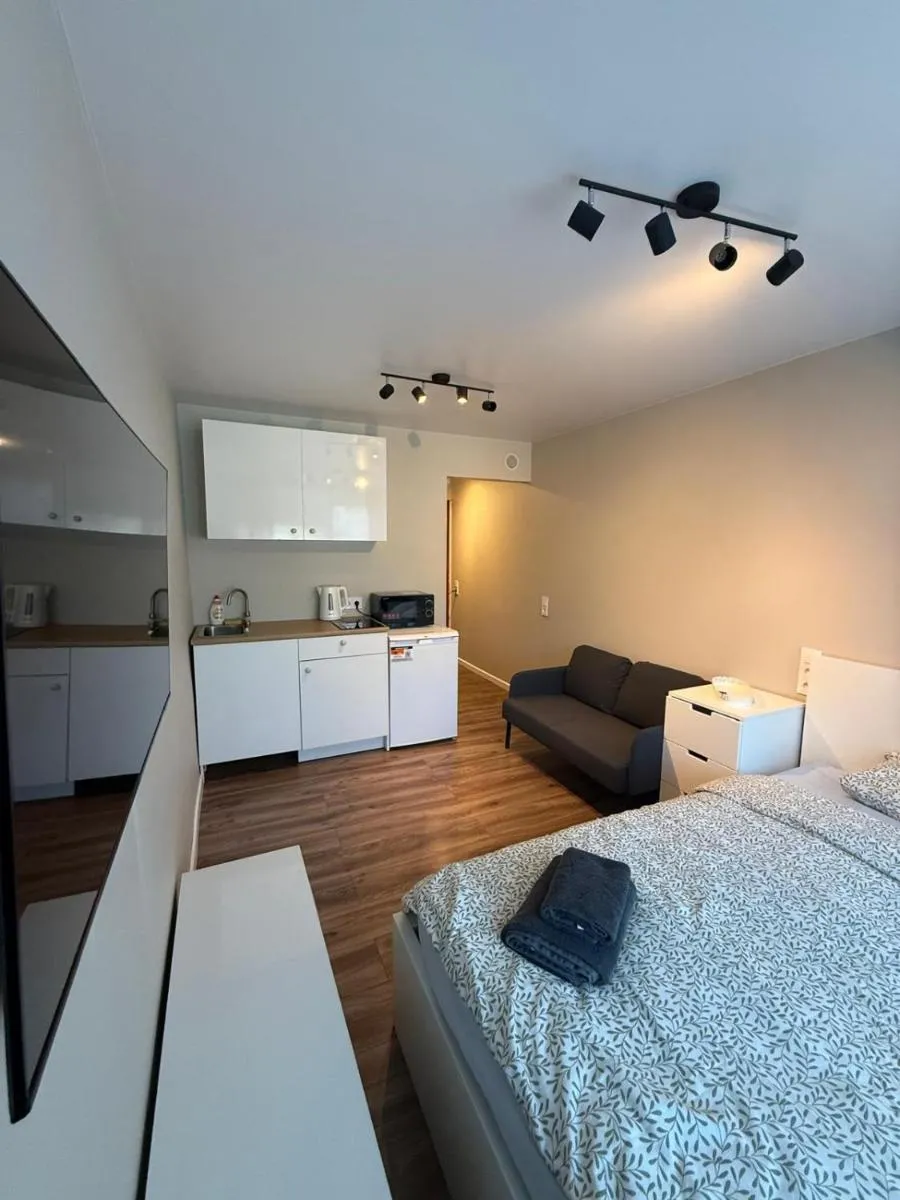 Image 3 of Studio apartment ll