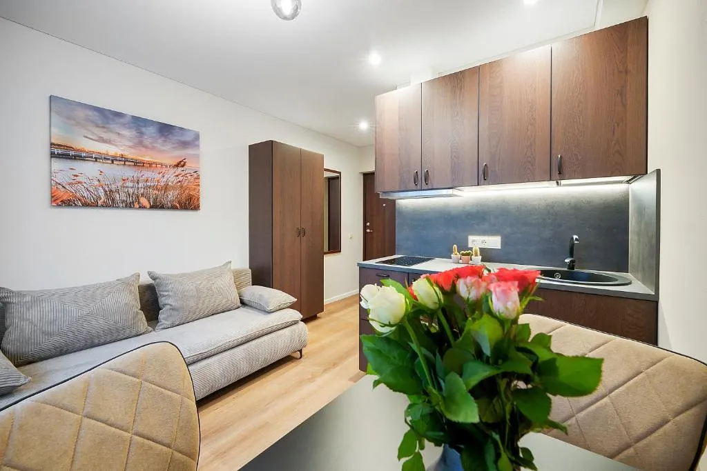 Image of Stylish studios near the city center