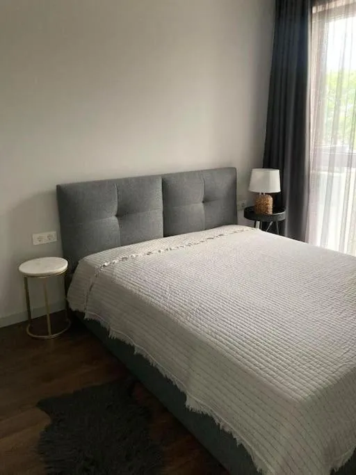 Image 6 of Vilnius Baltupiai home