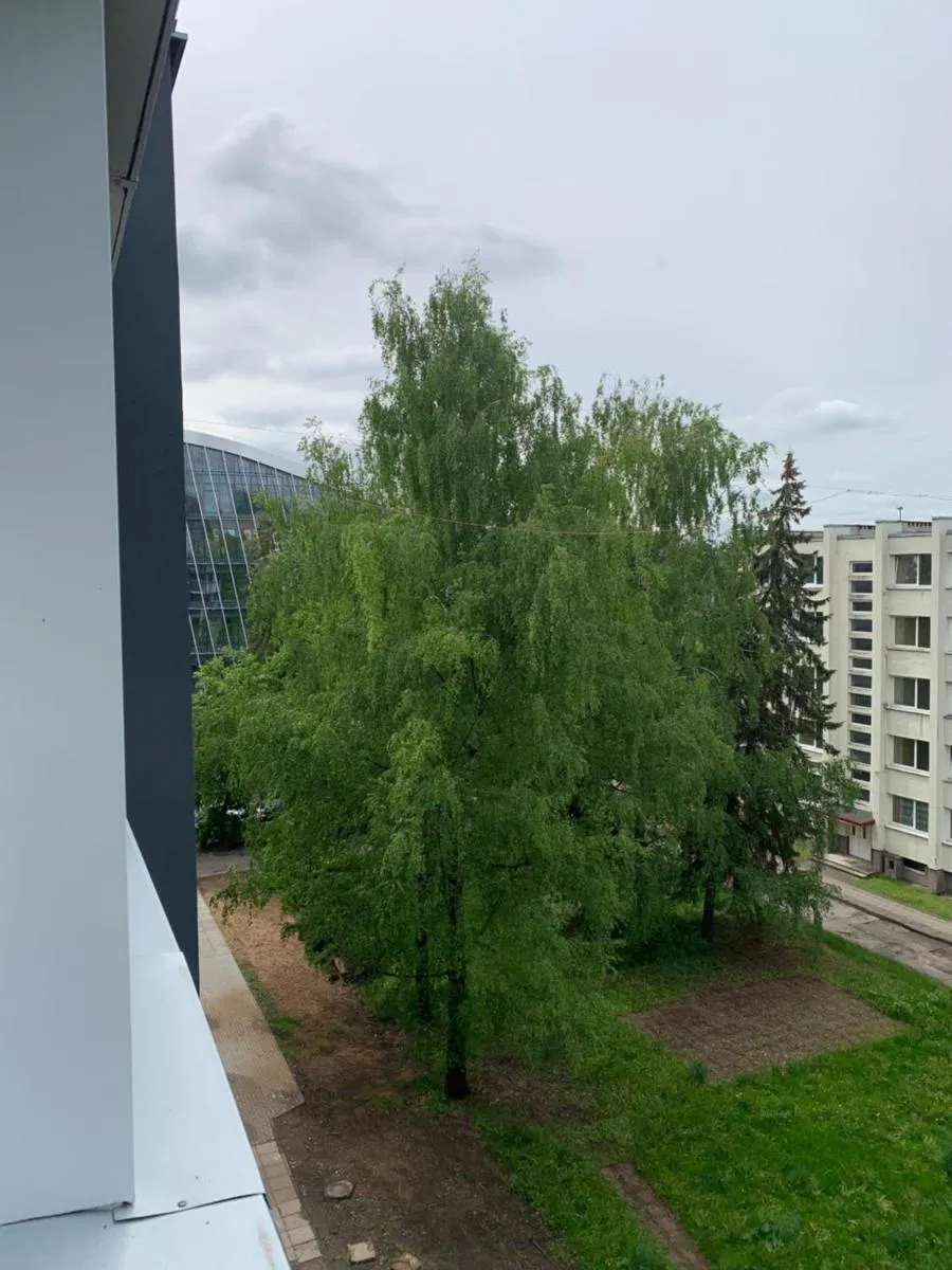 Image 4 of Žvėryno studija