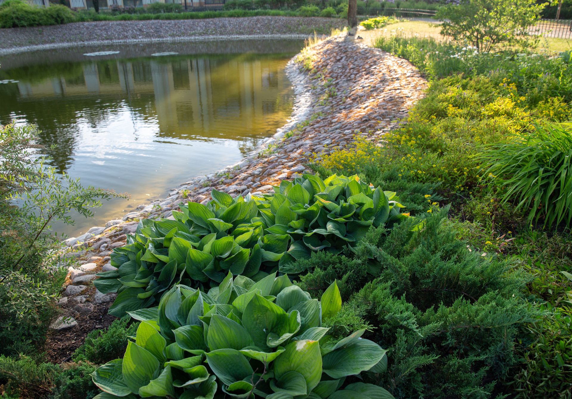 Bernardine Gardens